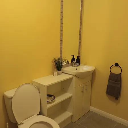 2 At Busy Bee * Daingean