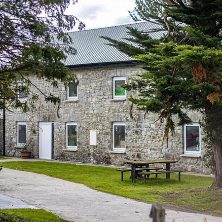 2 At Busy Bee * Daingean