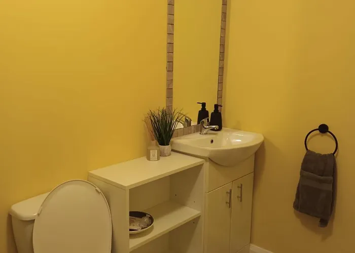 2 At Busy Bee * Daingean