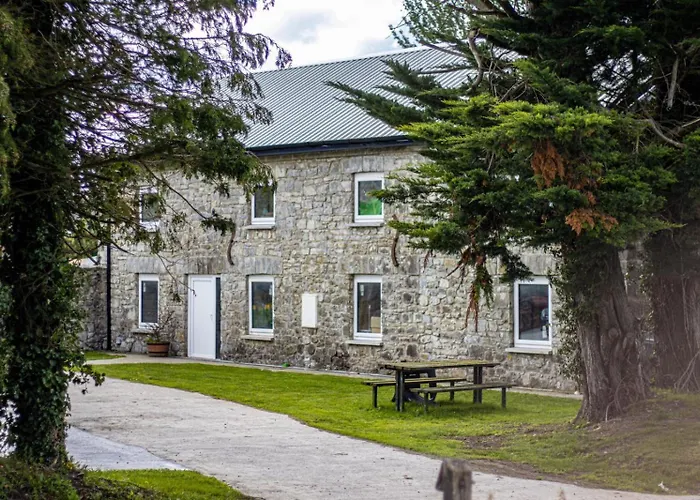 2 At Busy Bee * Daingean